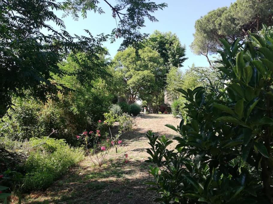 Appartamento Roma, Luaran gambar